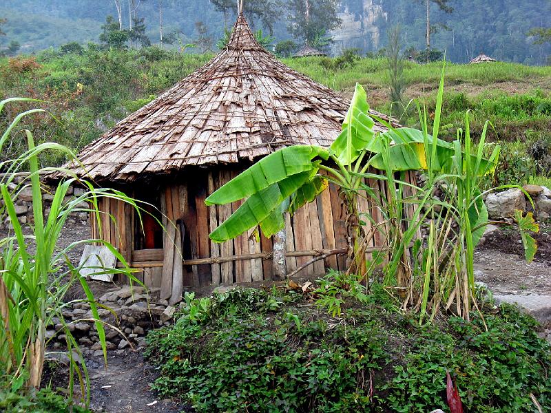 Papua1-46-Zoellner.jpg - Yali House in Poronggoli with a sweet potato garden in front of it, Yahukimo regency, Highlands (2011)(Photo by Siegfried Zöllner)