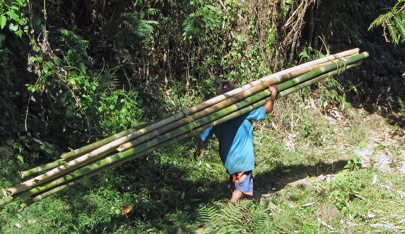 Philippines-33-Reckordt-2012.jpg - Bamboo, main material to build accommodation in the field (Photo by Michael Reckordt)