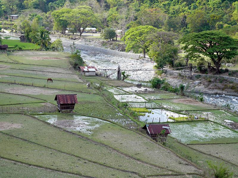 Philippines-46-Seib-2012.jpg - ditto (Photo by Roland Seib)