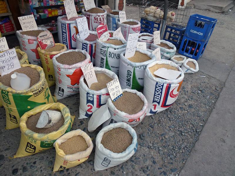 Philippines-75-Gantert-2012.jpg - Huge variety of rice sorts (Photo by Stephanie Gantert)