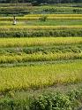 seib-2008-japan-29