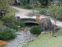 seib-2008-japan-38