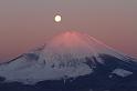 Fuji-21aa-fujigoko.tv
