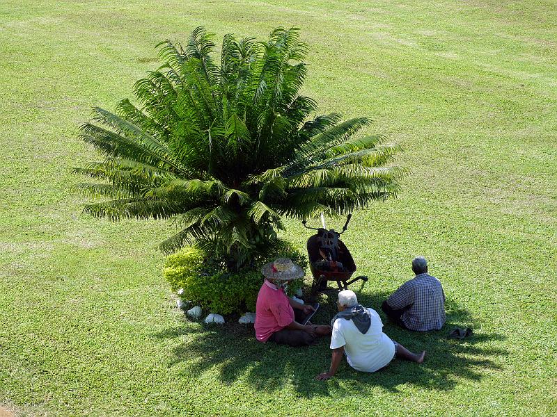 Samoa-58-Seib-2011.jpg - Garden of Vaillima (Photo by Roland Seib)