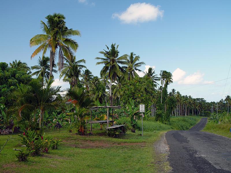 Samoa-59-Seib-2011.jpg - Centre of the island Upolu (Photo by Roland Seib)