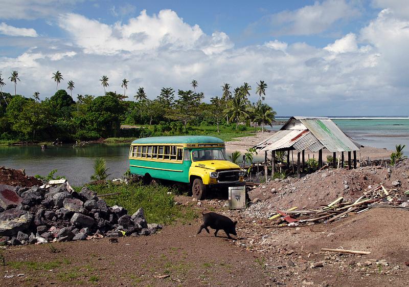 Samoa-66-Seib-2011.jpg - ditto (Photo by Roland Seib)