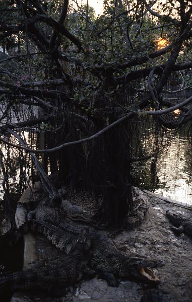 Thailand-20-Seib-1986.jpg - (photo by Roland Seib)