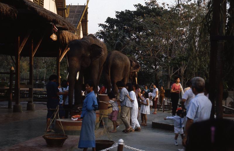 Thailand-22-Seib-1986.jpg - Visit of a monastery (photo by Roland Seib)