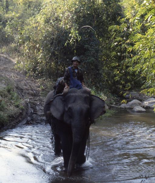 Thailand-30-Seib-1986.jpg - (photo by Roland Seib)