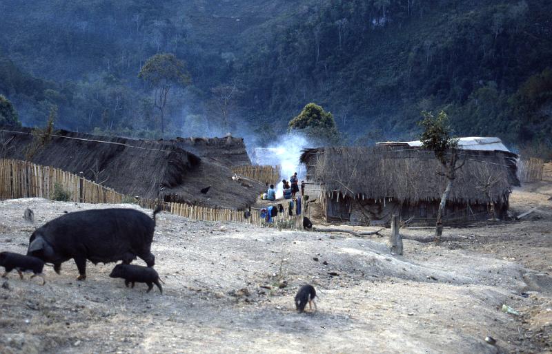 Thailand-41-Seib-1986.jpg - (photo by Roland Seib)