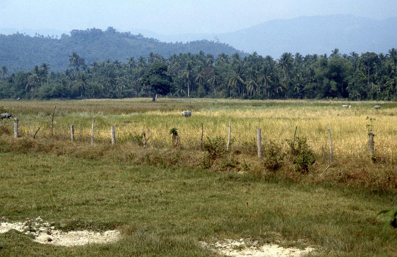 Thailand-57-Seib-1986.jpg - (photo by Roland Seib)