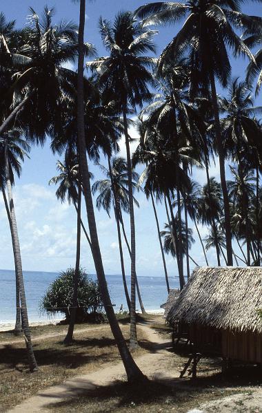 Thailand-59-Seib-1986.jpg - (photo by Roland Seib)