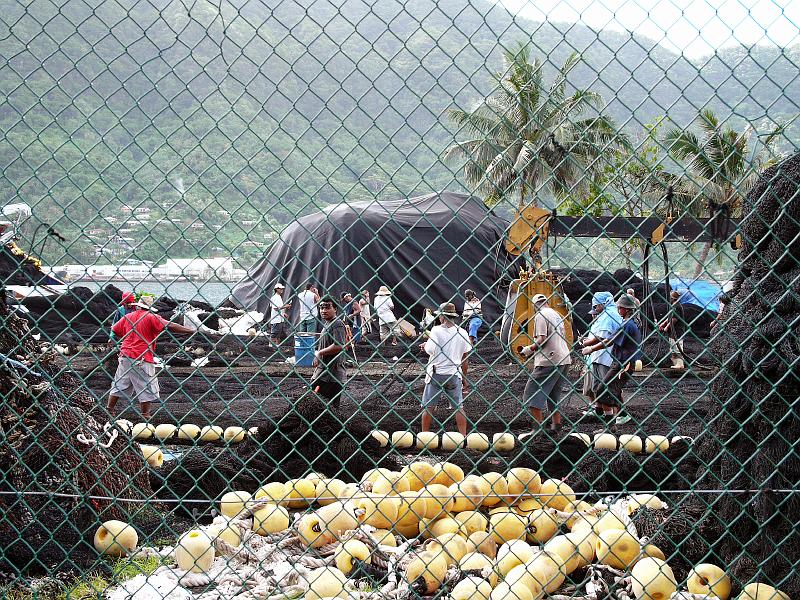 USsamoa-31-Seib-2011.jpg - Repair of fishing nets (Photo by Roland Seib)