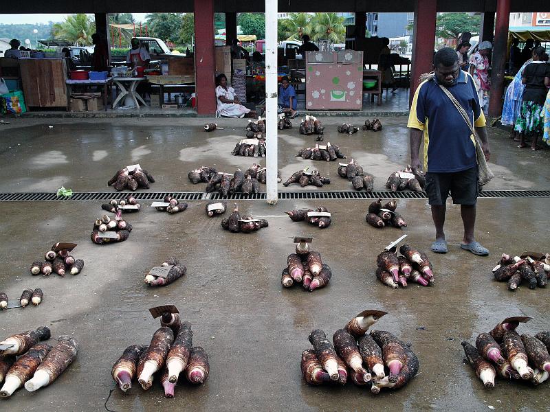 Vanuatu-11-Seib-2011.jpg - ditto (Photo by Roland Seib)