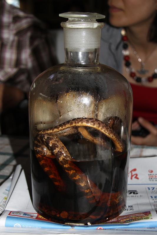 China-38-Unterkoefler-2012.JPG - Elixir with a snake (Photo by Dieter Unterköfler)